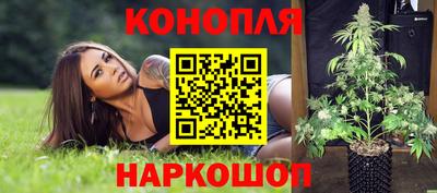 крисы Аргун