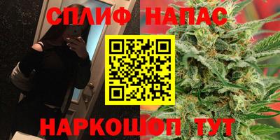 прущие грибы Апрелевка