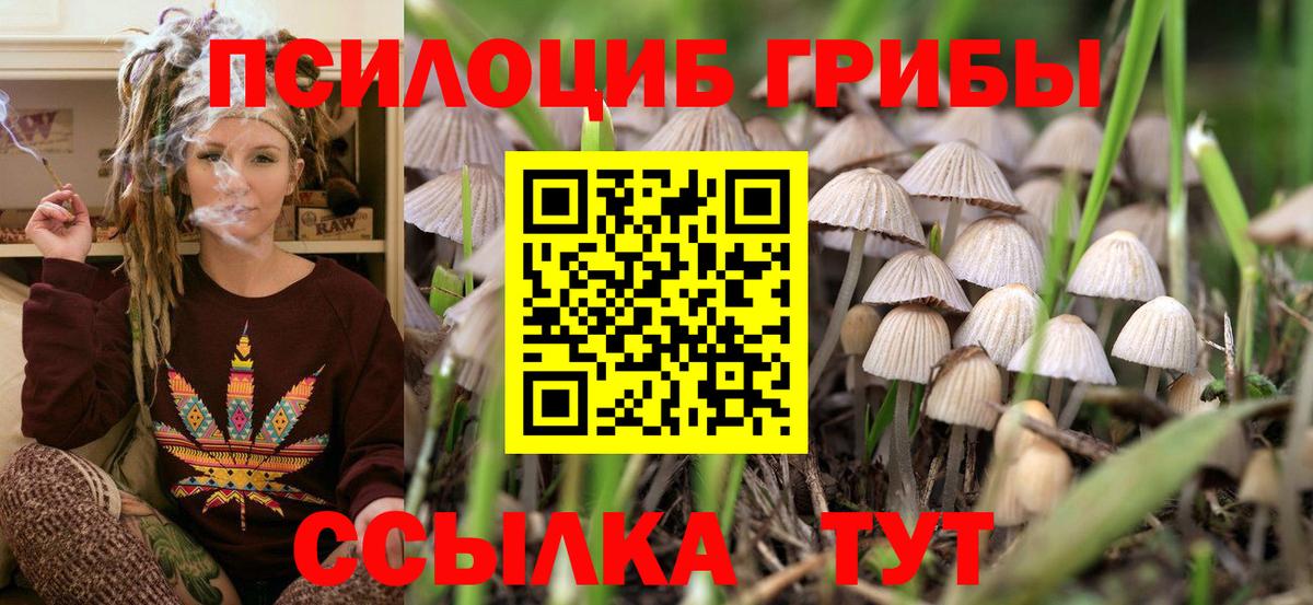 цены наркотик  Вход с VPN  Артёмовский  Галлюциногенные грибы Psilocybine cubensis 