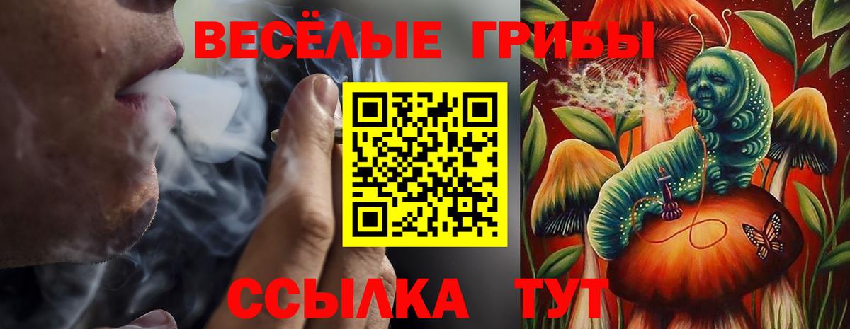Псилоцибиновые грибы прущие грибы Артёмовский